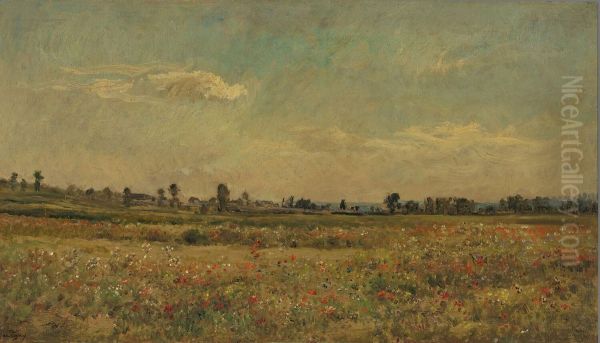 Field of Poppies - view 1