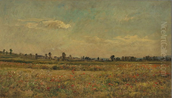 Het papaverveld bij Vaux - view 1