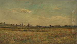 Het papaverveld bij Vaux Het papaverveld bij Vaux