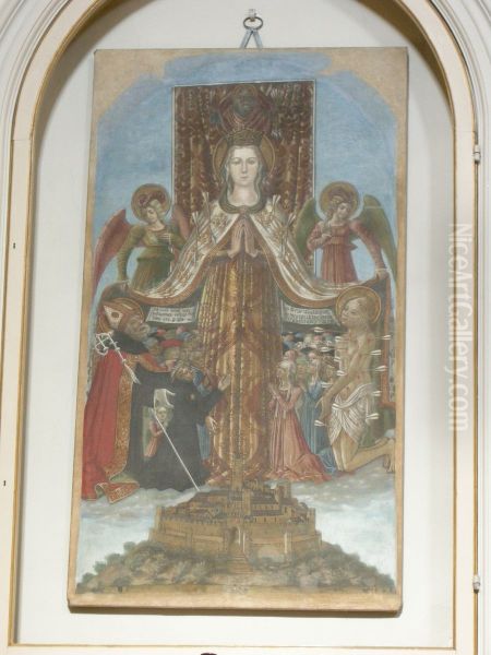 madonna della misericordia di - view 1