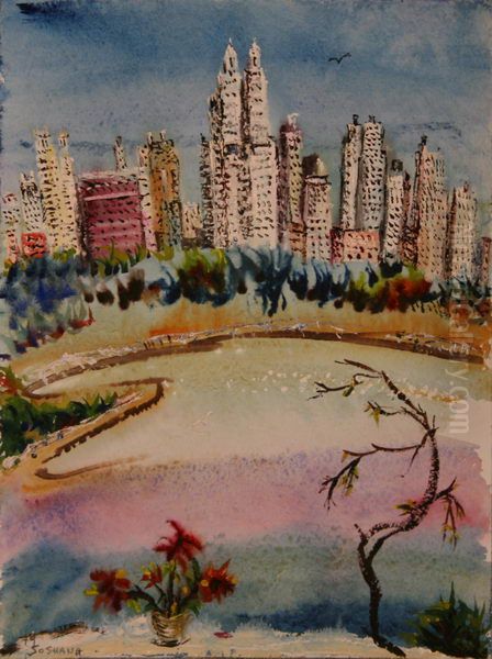 NY Central Park - view 1
