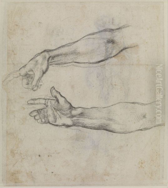 Studies of an outstretched arm for the fresco 'The Drunkenness of Noah' in the Sistine Chapel - view 1