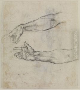 Studies of an outstretched arm for the fresco 'The Drunkenness of Noah' in the Sistine Chapel