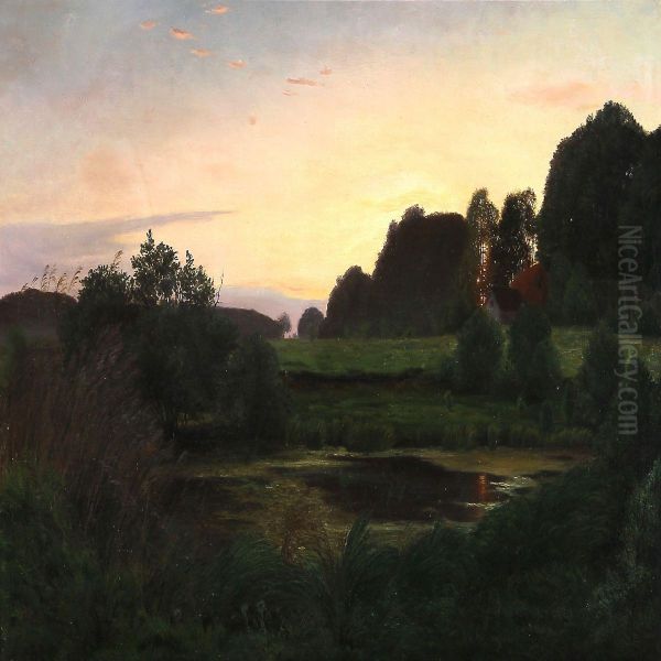Danish Summer Landscape At Sunset - view 1