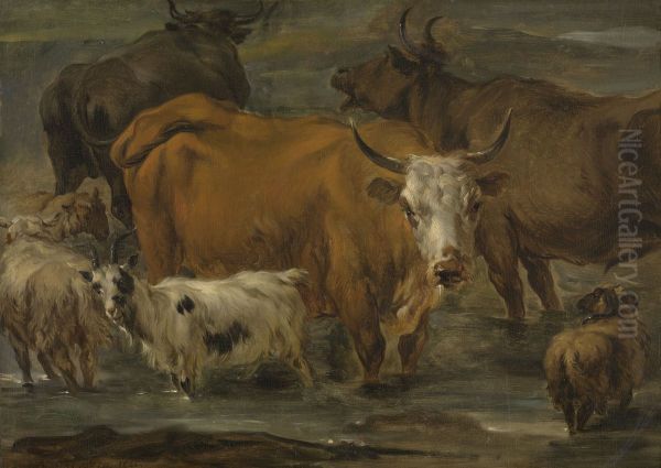 Animal Study - view 1