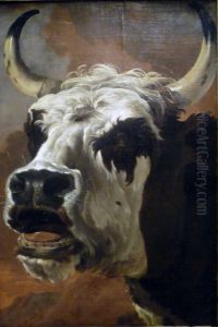 Tete de boeuf(Groningue)