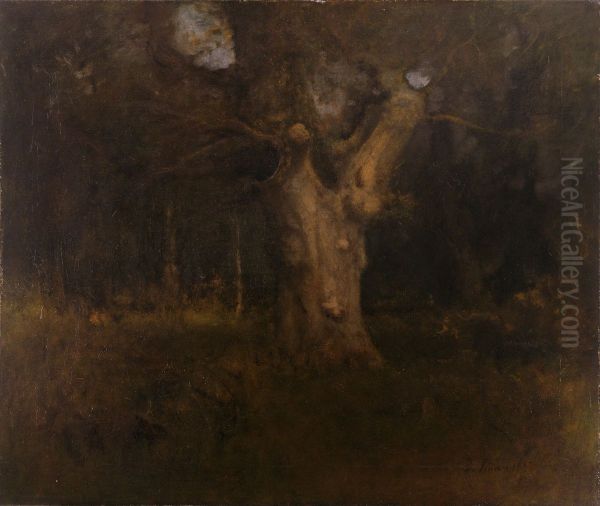 Royal Beech in New Forest, Lyndhurst - view 1