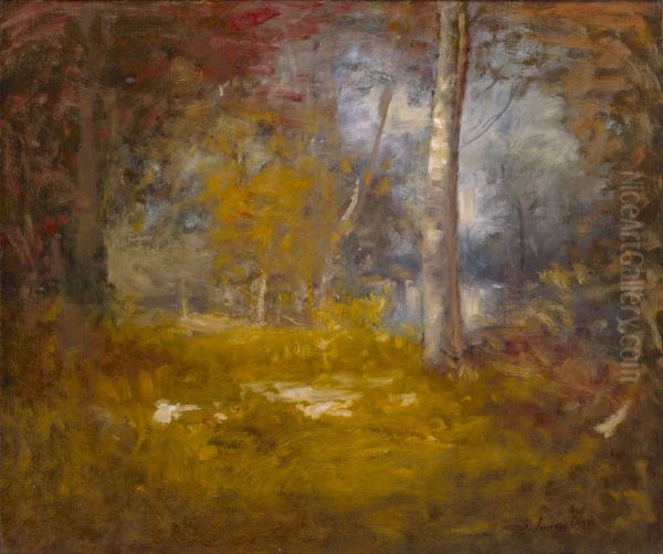 Woodland Pool - view 1