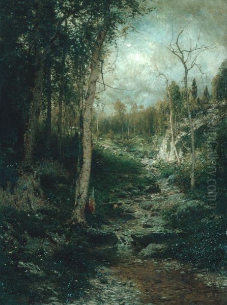 An Old Clearing - view 1