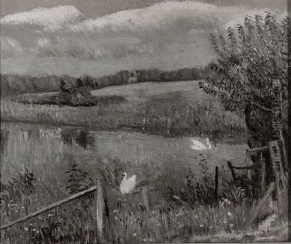 Swan Pond, Bellport, Long Island - view 1