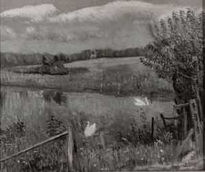 Swan Pond, Bellport, Long Island