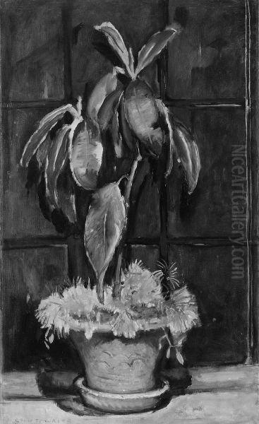 A Window at Night - view 1