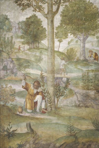 Cephalus Hiding the Jewels - view 1