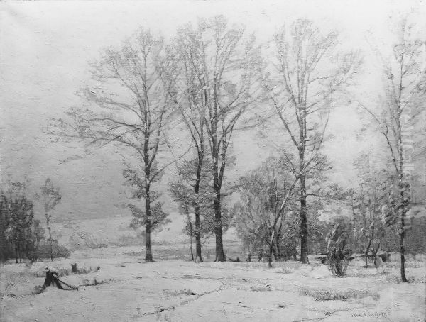 Snow Flurries - view 1