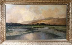 Arthog Marsh, Near Barmouth