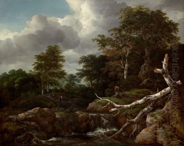 Forest Scene - view 1
