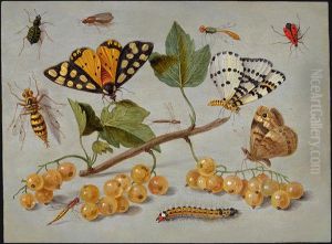 Study of Butterfly and Insects by Jan van Kessel the Elder
