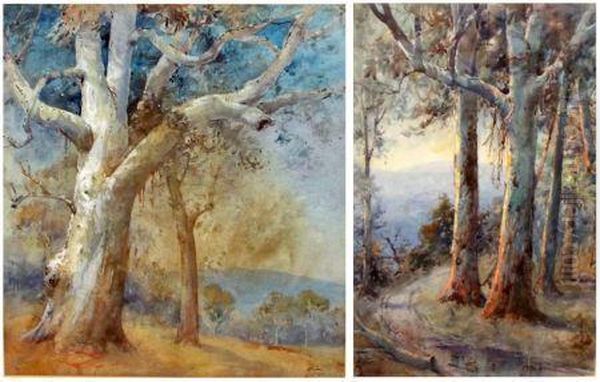 Australian Landscapes With Eucalyptus Trees - view 1