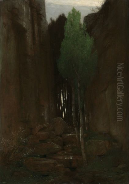 Spring in a Narrow Gorge - view 1