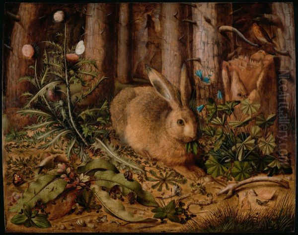 A Hare in the Forest - view 1