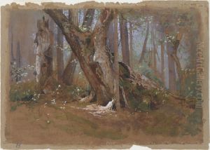 Woodland Interior