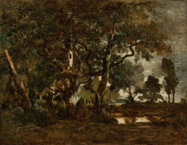 Forest of Fontainebleau, Cluster of Tall Trees Overlooking the Plain of Clair-Bois at the Edge of Bas-Breau - view 1
