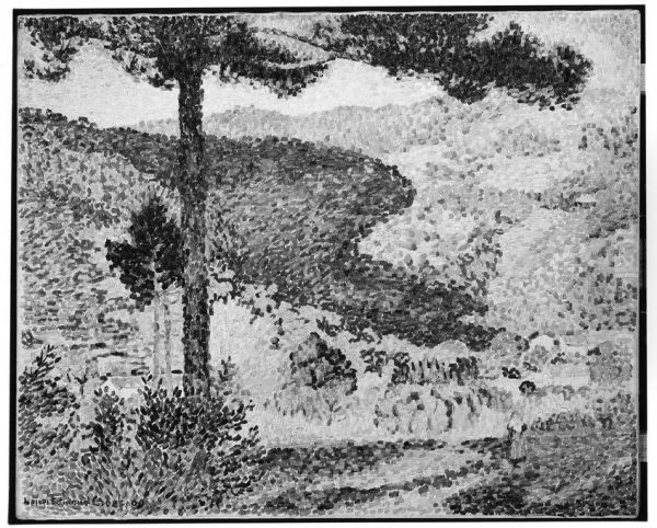 Valley with Fir (Shade on the Mountain) - view 1
