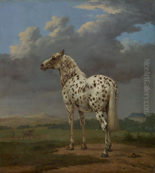 Bontgevlekte hengst in een heuvellandschap - view 1