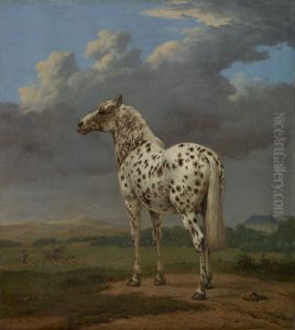 Bontgevlekte hengst in een heuvellandschap