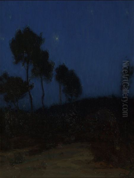 Untitled (Nocturnal Landscape) - view 1