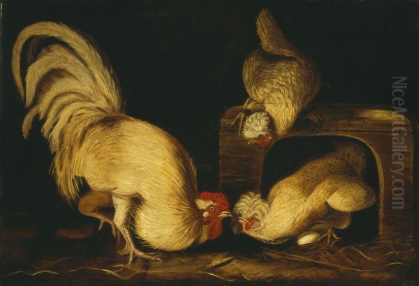 Farmyard Fowls - view 1