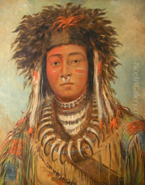 Boy Chief - Ojibbeway - view 1