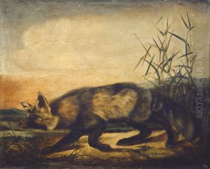 Long-Tailed Red Fox by John Woodhouse Audubon