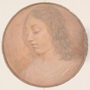 Head of a Young Woman by Lorenzo Di Credi