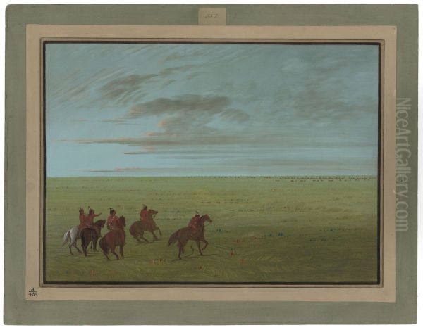 Connibos Starting for Wild Horses - view 1