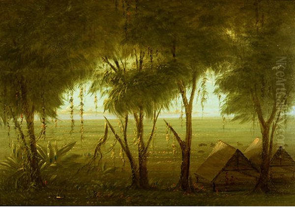 a connibo village - view 1