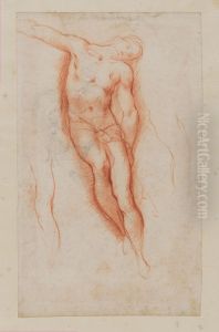 Study for the Figure of Christ in a Deposition