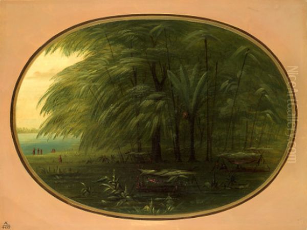 An Indian Village - Shore of the Amazon - view 1