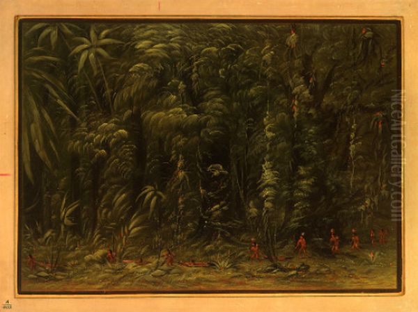Interior of an Amazon Forest - Zurumati - view 1