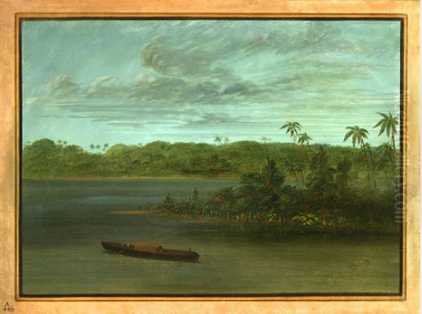 Mouth of the Rio Purus - view 1