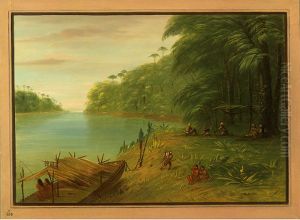 Shore of the Essequibo