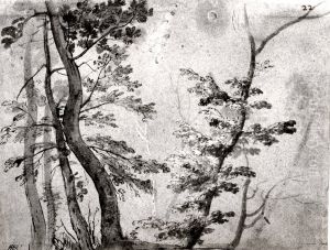 Trees by Claude Lorrain (Claude Gellee)