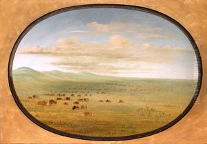 Wild Cattle Grazing on the Pampa del Sacramento by George Catlin