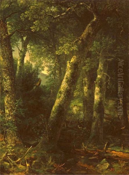 Forest in the Morning Light - view 1