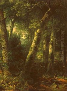 Forest in the Morning Light by Asher Brown Durand