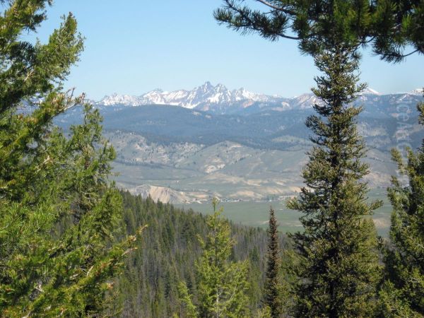 Salmon River Mountains - view 1
