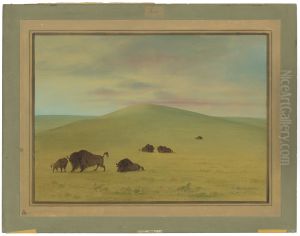 American Pasturage - Prairies of the Platte by George Catlin