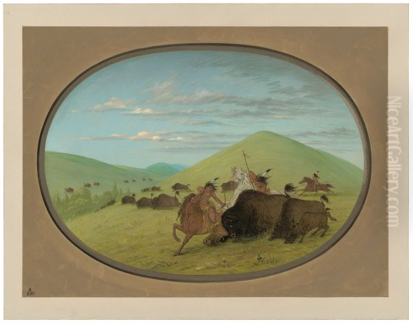 Buffalo Chase - Bulls Protecting the Calves - view 1