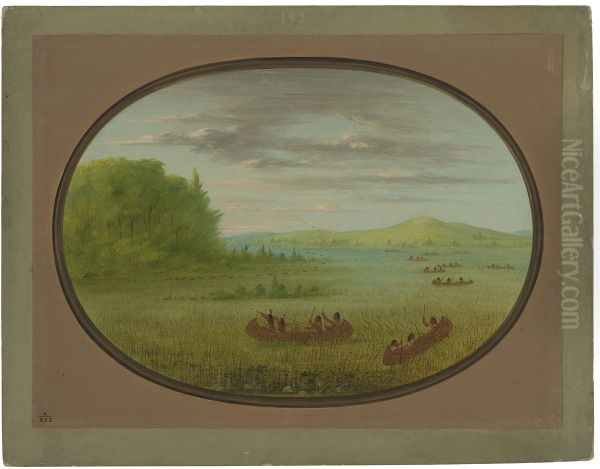 Gathering Wild Rice - Winnebago - view 1