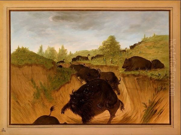 Grizzly Bears Attacking Buffalo - view 1